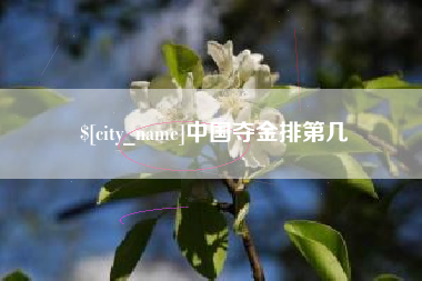 阿勒泰中国夺金排第几