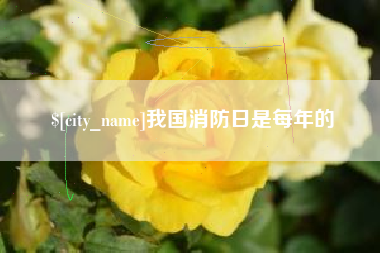 阿勒泰我国消防日是每年的