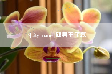 阿勒泰邱县王子磊