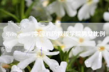 阿勒泰中国消防救援学院男女比例