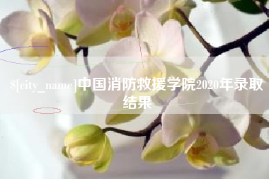 阿勒泰中国消防救援学院2020年录取结果