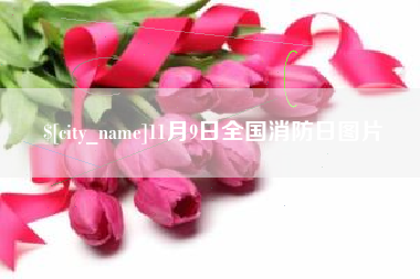 阿勒泰11月9日全国消防日图片
