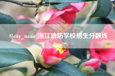 阿勒泰浙江消防学校招生分数线