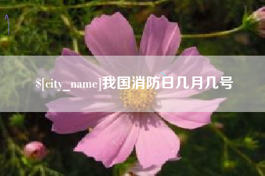 阿勒泰我国消防日几月几号