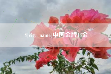 阿勒泰中国金牌18金