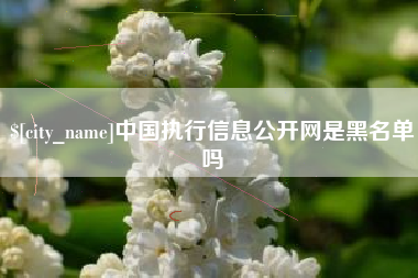 阿勒泰中国执行信息公开网是黑名单吗