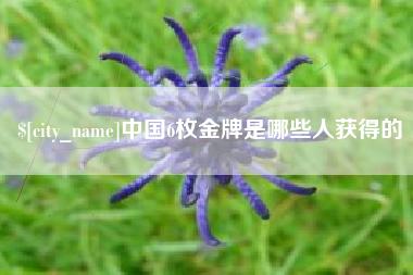 阿勒泰中国6枚金牌是哪些人获得的