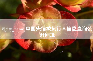 阿勒泰中国失信被执行人信息查询公开网址
