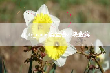 阿勒泰奥运会39块金牌