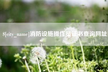 阿勒泰消防设施操作员证书查询网址