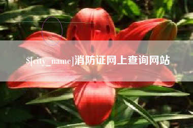 阿勒泰消防证网上查询网站