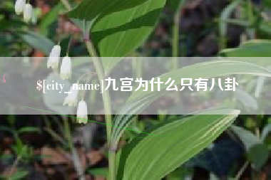阿勒泰九宫为什么只有八卦