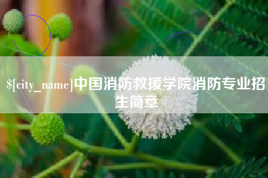 阿勒泰中国消防救援学院消防专业招生简章