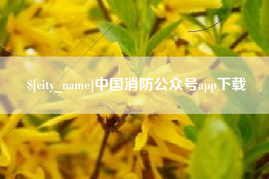 阿勒泰中国消防公众号app下载