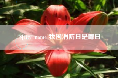 阿勒泰我国消防日是哪日