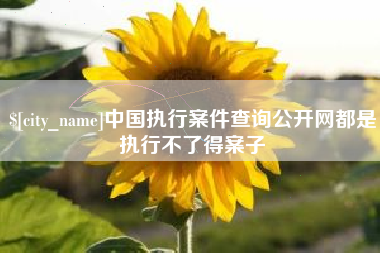 阿勒泰中国执行案件查询公开网都是执行不了得案子