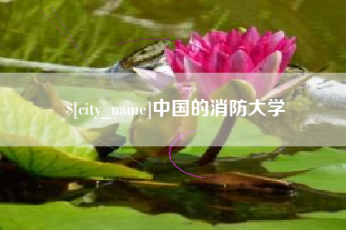 阿勒泰中国的消防大学