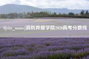 阿勒泰消防救援学院2020高考分数线