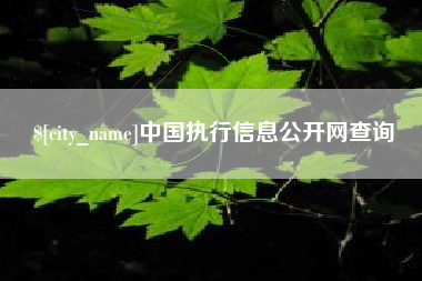 阿勒泰中国执行信息公开网查询