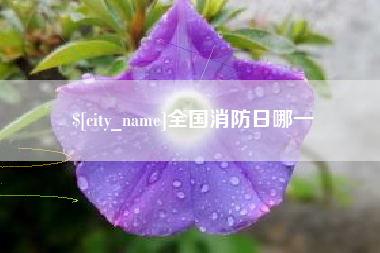 阿勒泰全国消防日哪一