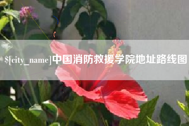 阿勒泰中国消防救援学院地址路线图