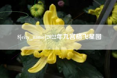 阿勒泰2022年九宫格飞星图