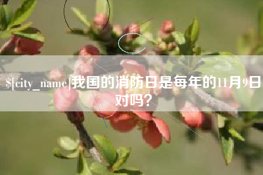 阿勒泰我国的消防日是每年的11月9日对吗？
