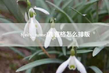 阿勒泰九宫格怎么排版