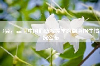 阿勒泰中国消防救援学院湖南招生情况公布