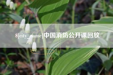 阿勒泰中国消防公开课回放