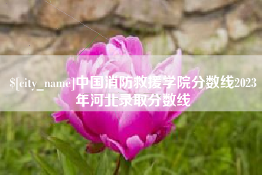 阿勒泰中国消防救援学院分数线2023年河北录取分数线