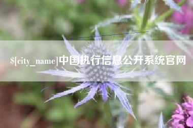 阿勒泰中国执行信息公开系统官网