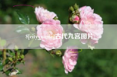 阿勒泰古代九宫图片