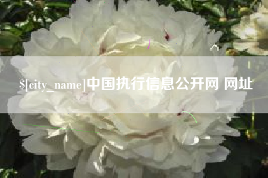 阿勒泰中国执行信息公开网 网址