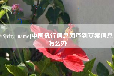 阿勒泰中国执行信息网查到立案信息怎么办