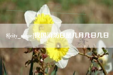 阿勒泰我国消防日是几月几日几日