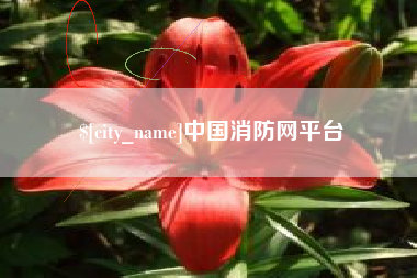 阿勒泰中国消防网平台