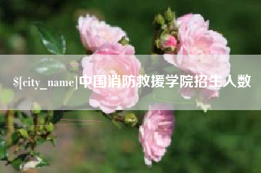 阿勒泰中国消防救援学院招生人数