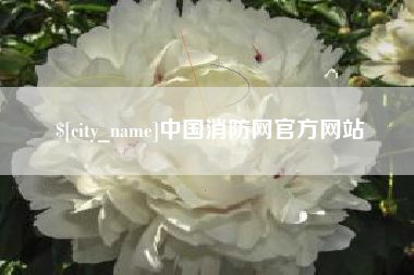 阿勒泰中国消防网官方网站