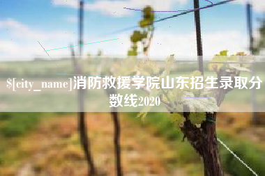 阿勒泰消防救援学院山东招生录取分数线2020