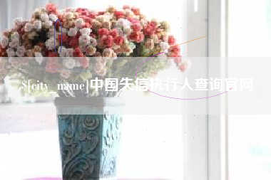 阿勒泰中国失信执行人查询官网