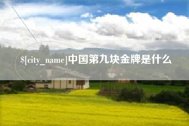 阿勒泰中国第九块金牌是什么