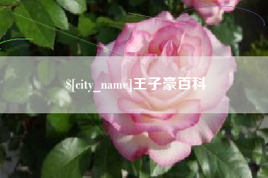 阿勒泰王子豪百科