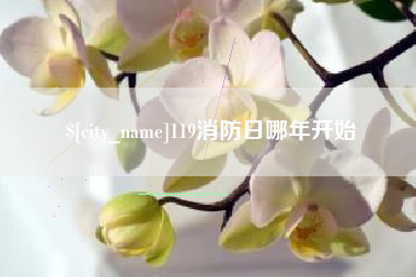阿勒泰119消防日哪年开始