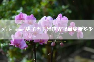 阿勒泰男子五千米世界冠军奖金多少