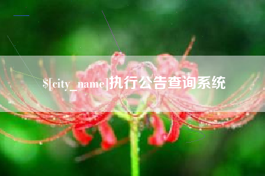 阿勒泰执行公告查询系统