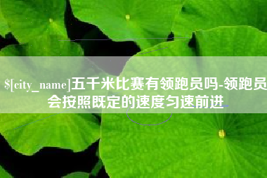 阿勒泰五千米比赛有领跑员吗-领跑员会按照既定的速度匀速前进
