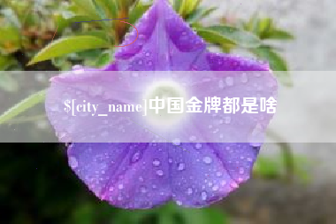 阿勒泰中国金牌都是啥
