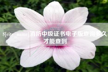 阿勒泰消防中级证书电子版查询多久才能查到