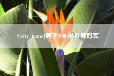 阿勒泰男子5000米世界冠军